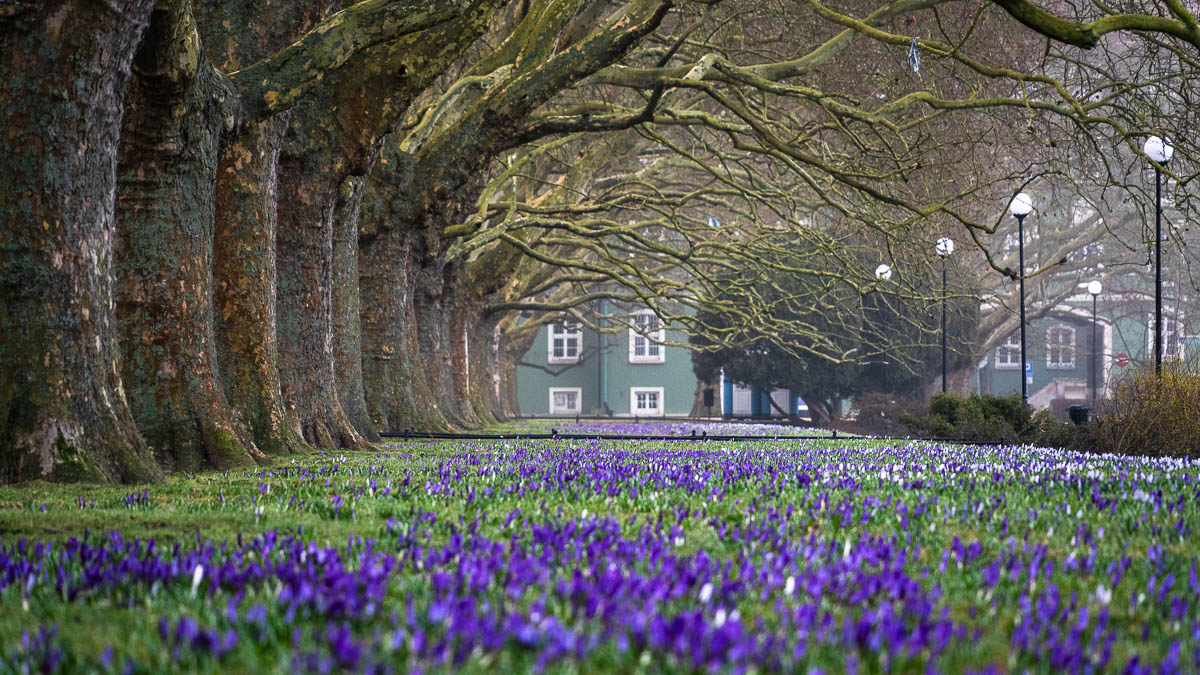 Sigma 20-200mm mounted on camera in outdoor environment